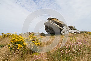 Eroded granite