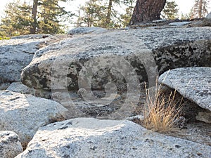 Eroded granite outcrop