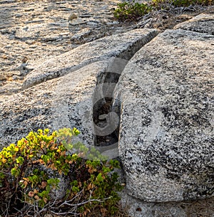 Eroded granite outcrop