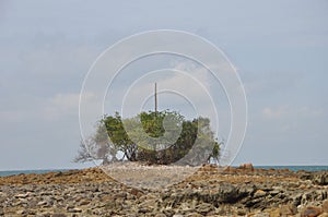 Eroded Island During Low Tide