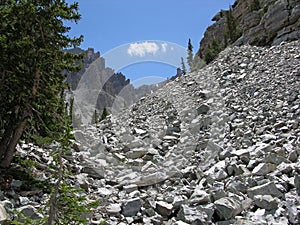 Eroded limestone in the Great Basin National Park photo