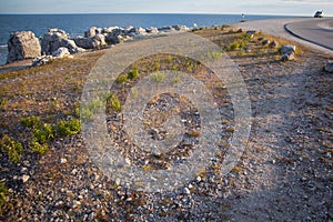 Eroded limestone stacks along the shoreline on The island of Far