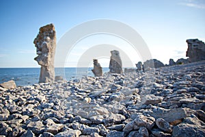 Eroded limestone stacks at the island of Faro in Sweden