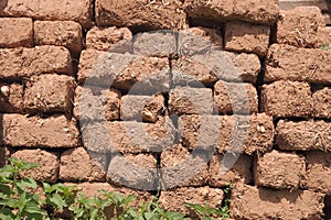 Eroded Mud Brick Wall, Serbia