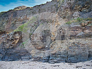 Eroded mudstone cliffs at Runswick Bay in North Yorkshire, UK - part of the Whitby Mudstone Formation