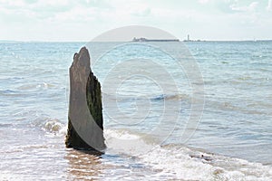 Eroded post on the beach