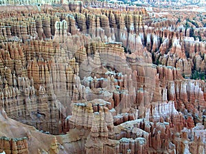 Eroded red rocks and hoodoos in Bryce Canyon National Park