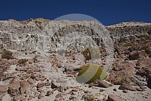 Eroded river valley on the Altiplano of Chile