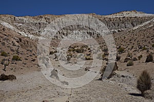 Eroded river valley on the Altiplano of Chile