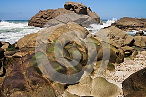 Eroded rock covered of seamoss photo