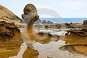 Eroded rock at Yehliu Geopark in Taipei, Taiwan.