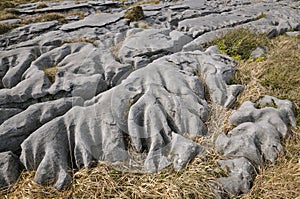 Eroded Water Washed Limestone