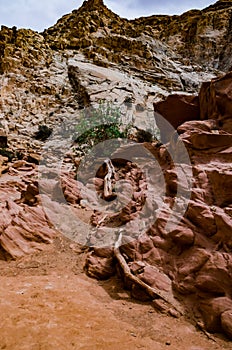 Eroded by water and wind cliffs in the canyon. Little Wild Horse Canyon. San Rafael Swell, Utah