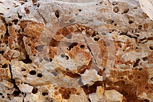 Eroded weathered limestone in Mediterranean shore
