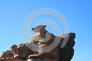 Eroded weathered rock at Avoca Beach photo