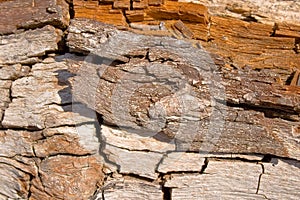 Eroded wood