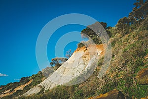 Eroding cliffs and native vegetation on Olivers Hill.