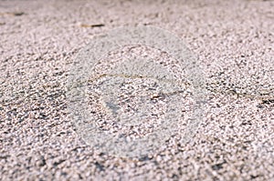 Erosed White Wall Texture