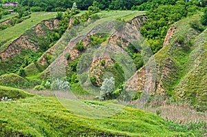 Erosion of agricultural land. Ravines