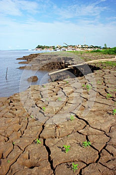 Erosion in Amazonia photo