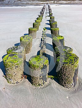 Erosion Barrier with Green Mossy Tops SC