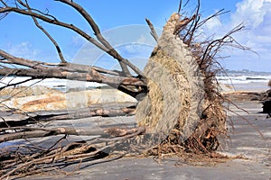 Erosion on a beach after a cyclone