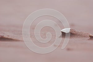 Erosion on the beach