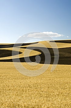 Erosion Controlled Fields photo