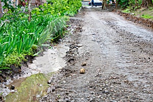 Erosion of a dirt road after heavy rain in an urban area