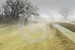 Erosion - Dust Storm photo