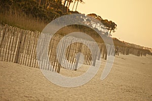 Erosion fence on deserted beach