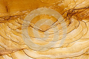 Erosion Patterns in Sandstone Rock, Capitol Reef, Utah.