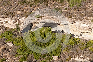 Erosion process in rocks and vegetation in Milos