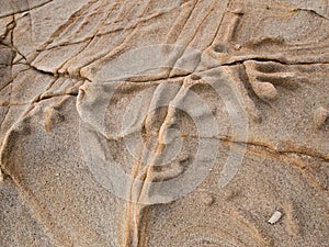 Erosion of sandstone by sea and wind, leaving ridges.