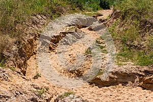 Erosion of sandy soil due to rainwater, ravine formation