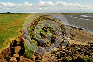 Erosion of shoreline, Solway Coast photo