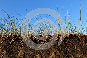 Erosion of the Soil