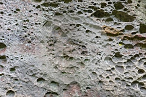 The erosive forms of the rock in the Przadki nature reserve