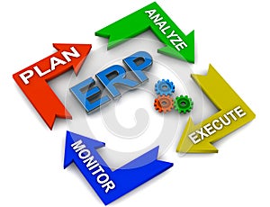 ERP process