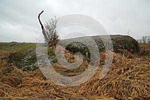 Erratic block at Neu Dargelin, Mecklenburg-Vorpommern, Germany