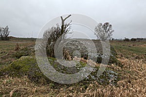 Erratic block at Neu Dargelin, Mecklenburg-Vorpommern, Germany