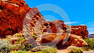 Erratic rock formation in the Valley of Fire State Park in Nevada, USA