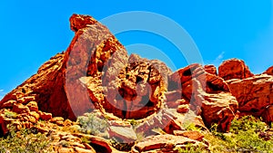 Erratic rock formation in the Valley of Fire State Park in Nevada, USA