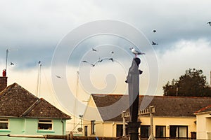 A erring gull sitting on a post surrounded by other gulls flying around the sky