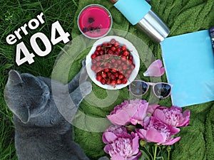 Error 404 page, A lovely summer picnic on the green herbage by a pet. A picnic on a blue cloth laid, A cherry cup, a