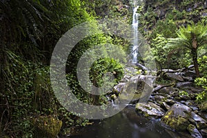 Erskine Falls Lorne Melbourne Australia Great Ocean Road serene waterfall with green environment.