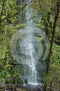 Erskine Falls, Victoria, Australia