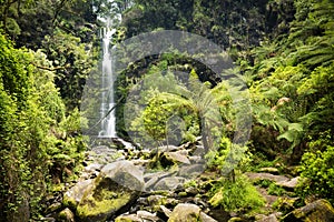 Erskine Falls Waterfall