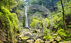 Erskine Falls Waterfall