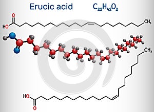 Erucic acid, docosenoic acid molecule. It is carboxylic, monounsaturated omega-9 fatty acid. Structural chemical formula and